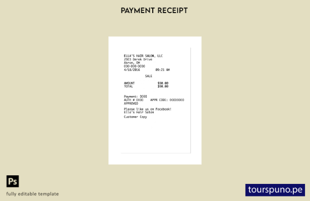 plantilla de recibo de pago lista para imprimir de Ella'S Hair Salon Llc